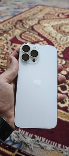 13Pro