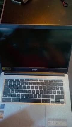 Acer