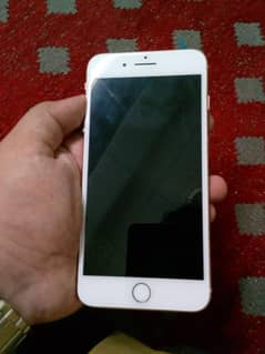 8 plus JV 256