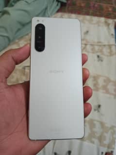 10/10 with Snapdragon 8 Gen 1