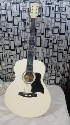 guitar jumbo size professional