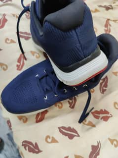 Sketchers originally imported from the UK.  Slight