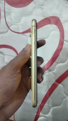 pta proved panel change ha face id ni work ni karte