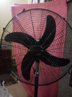 stand fan