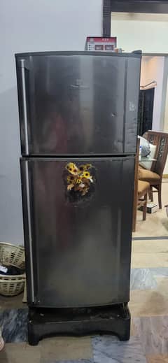 refrigerator and freezer