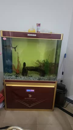 fish