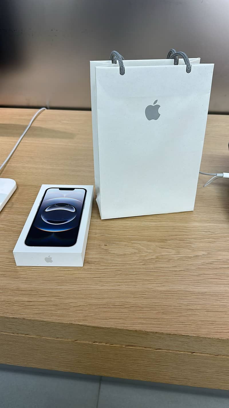 Apple iPhone 16e 1