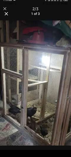 cage for sale.