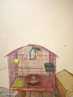 cage for sale