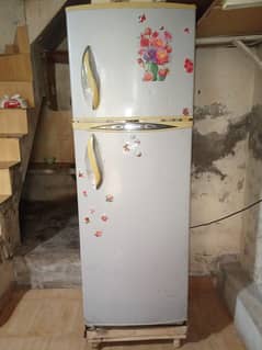 Full Size Fridge  cooling 100% gas 100%  condition 10/10