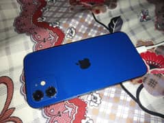 iPhone 12 non pta jv