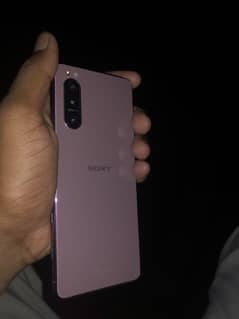 Xasper5