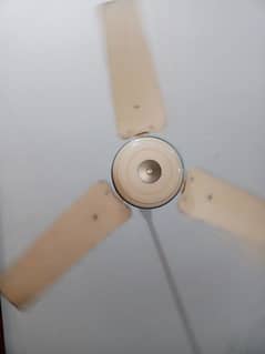 ceiling