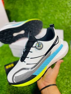 Fashion Shoes Collection