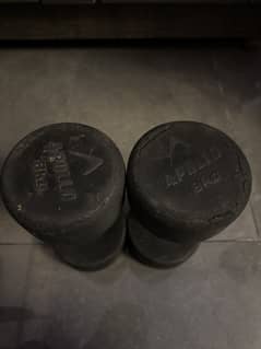 Appollo 8kg dumbell(pair)