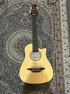 Acoustic Guitar