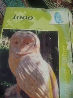 1000 pieces puzzle