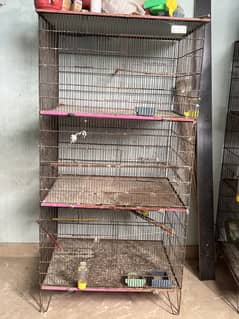 Bird Cage for sale