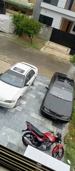 Honda Civic dolphin 95