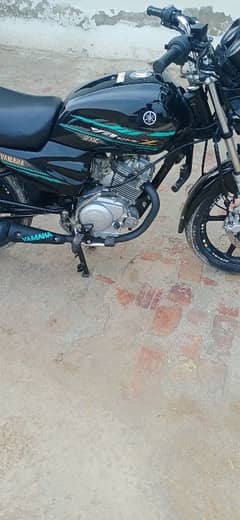 Yamaha