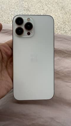 13 pro max