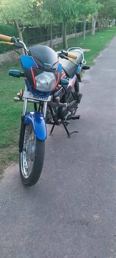 lush bike