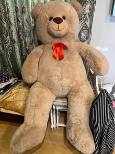 Teddy bear