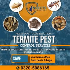 Termite