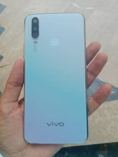 vivo