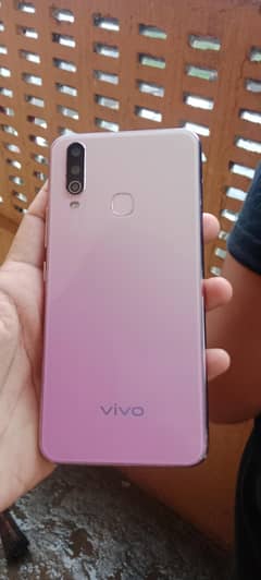 vivo