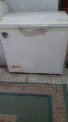 Waves single door freezer.