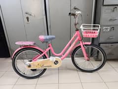 Pink 20-Inch Champion Bicycle for Girls
