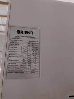 Orient