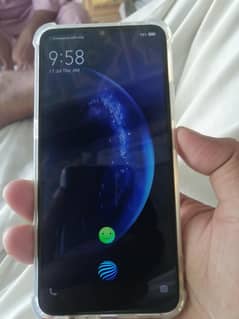 vivo