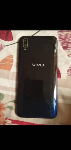 vivo