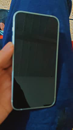 Apple iPhone 12 mini
