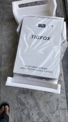 Tigfox
