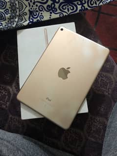 iPad mini 5