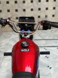 Honda 125  2024 model