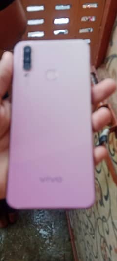 vivo
