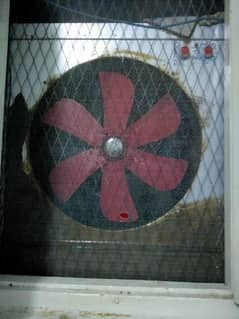 Lahori Room Cooler