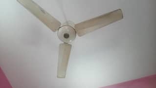 Fan/ Ceiling Fan