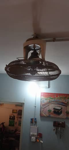 Ceiling fan