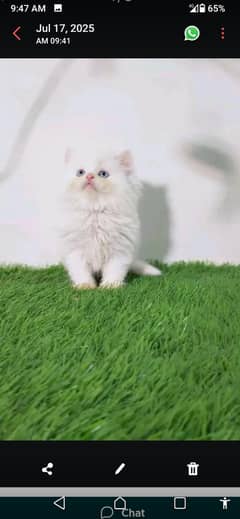 Persian