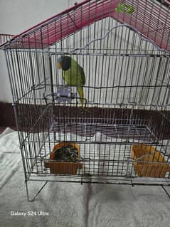 talking