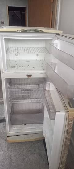 waves fridge