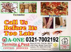 Dengue Spary/Termite Control/Deemak Control/Fumgation