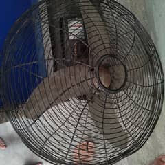 table fan royal company