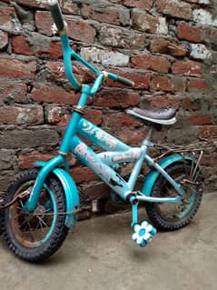 bicycle for kids