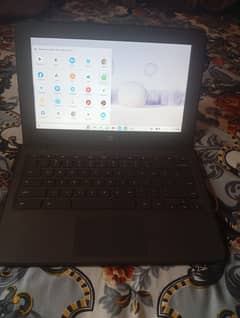 HP